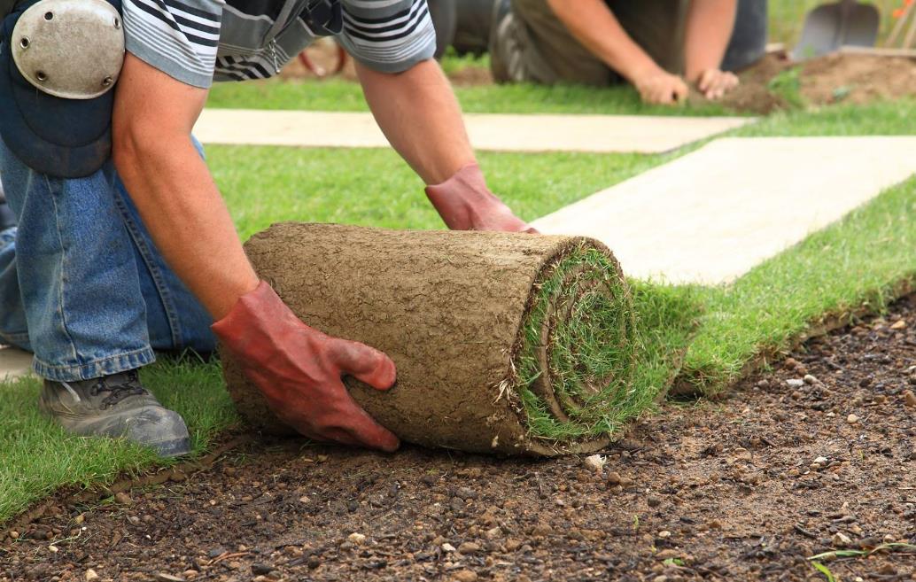 John Peters Landscaping: Service Image-0 John Peters Landscaping: Service Image-0